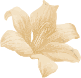 cta-flower cta-flower