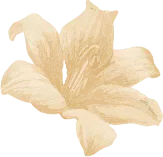cta-flower